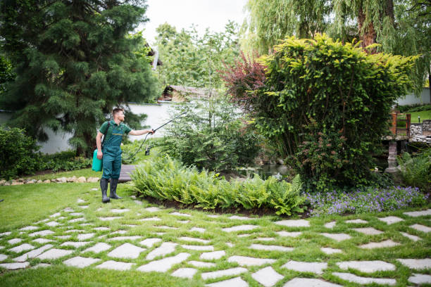 Best Affordable Pest Control Services  in Collinsville, OK