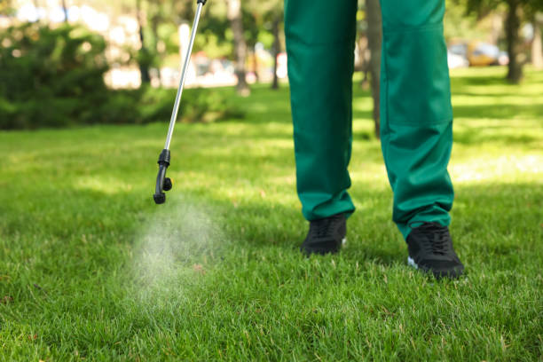 Wasp Removal Services in Collinsville, OK