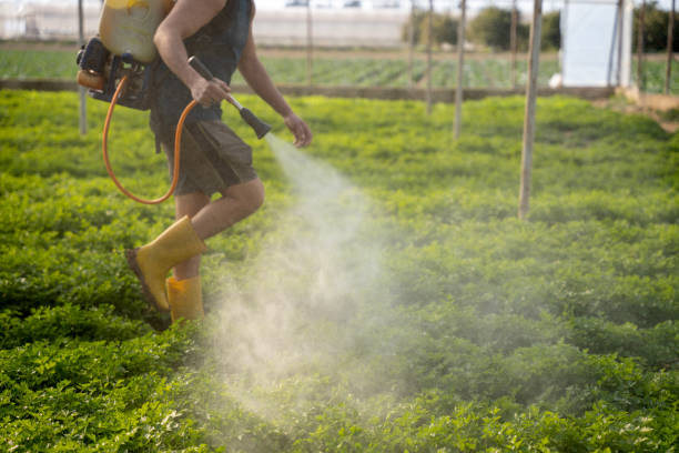 Best Residential Pest Control  in Collinsville, OK