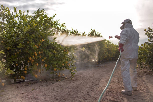 Best Best Pest Control Companies  in Collinsville, OK