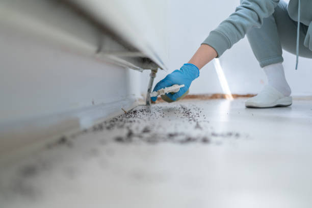 Reliable Collinsville, OK Pest Control Solutions