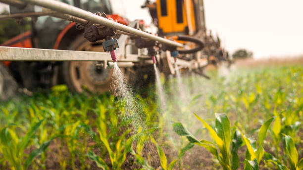 Best Pest Control Treatment  in Collinsville, OK